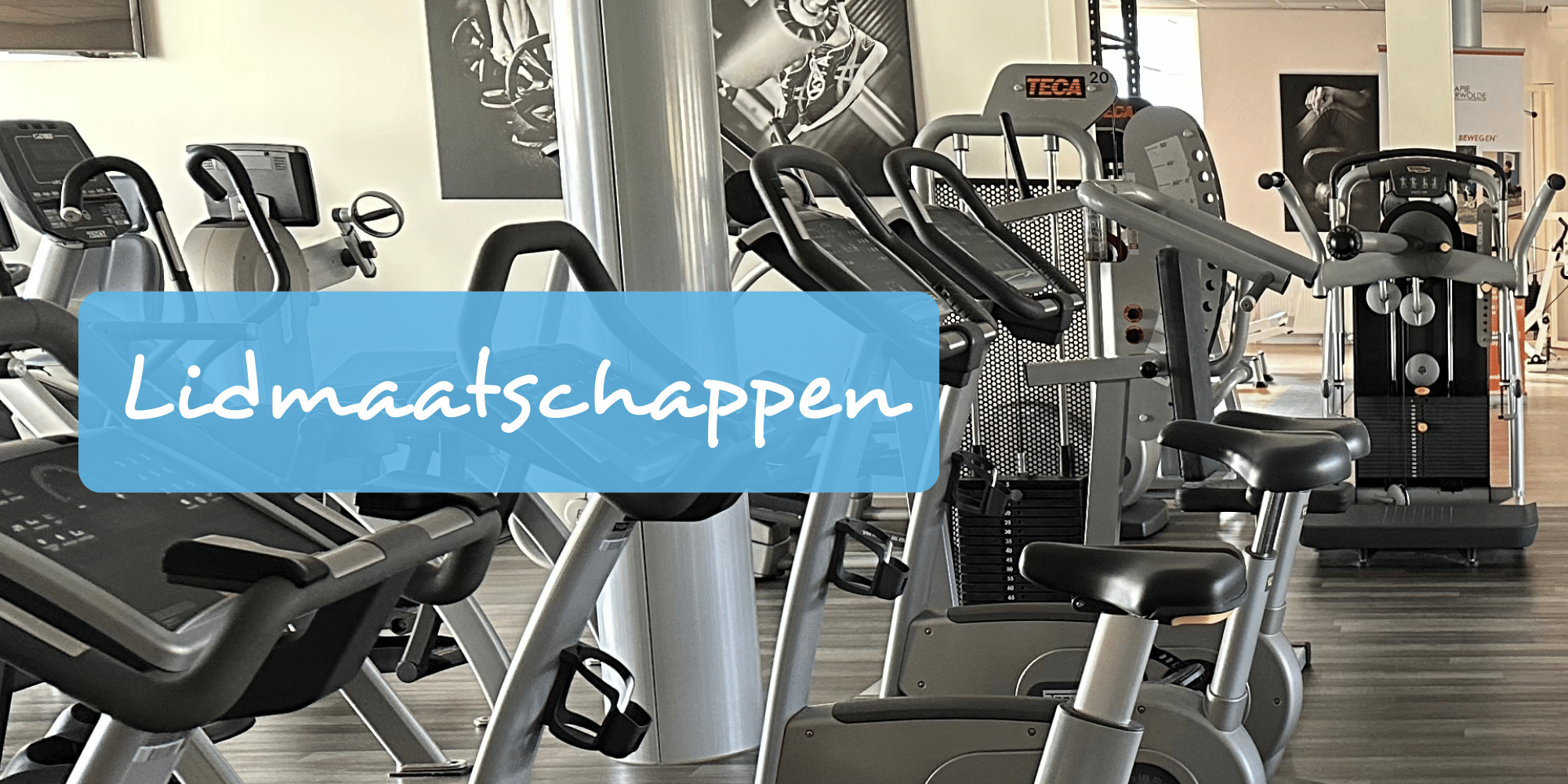 Lidmaatschappen